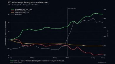 Photo of Cryptoquant: За ростом цены на биткоин скрывалась серия покупок «китом» на сумму 60 000 BTC