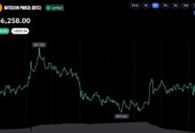 Photo of Объем ликвидаций биткоинов резко сократился, поскольку цена BTC удерживается на уровне выше 86 000 долларов