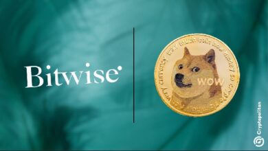 Photo of Bitwise закрывает ETF Dogecoin , что является предупреждением о том, что доступ к ETF не востребован