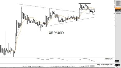 Photo of Курс XRP подскочил на 8,7%, поскольку график Питера Брандта сигнализирует о росте до 5,40 доллара
