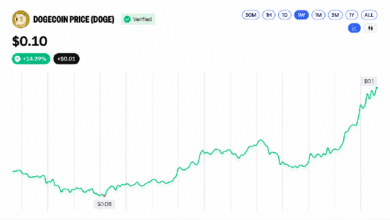 Photo of Курс BNB превысил отметку в 800 долларов, а DOGE и XRP продемонстрировали двузначный рост