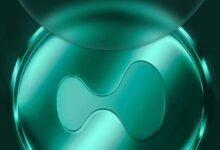 Photo of Биржа Hyperliquid запустила режим ручного заимствования. HYPE вырос до нового пика