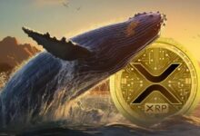 Photo of Киты перевели 1,6 млрд XRP на Binance: что происходит и грозит ли XRP распродажа