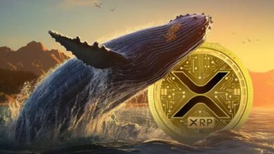 Photo of Киты перевели 1,6 млрд XRP на Binance: что происходит и грозит ли XRP распродажа