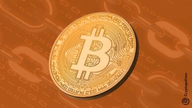 Photo of С 2012 года Bitcoin оставался нетронутым, переместившись на 600 BTC, в результате чего его десятилетняя история достигла 1971 BTC