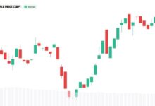 Photo of Сообщество XRP занимает центральное место в планах Evernorth по выходу на Nasdaq