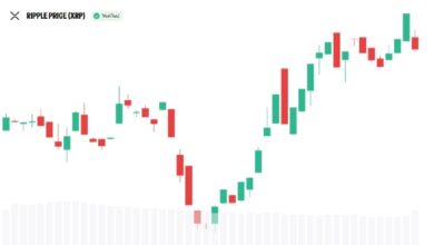 Photo of Сообщество XRP занимает центральное место в планах Evernorth по выходу на Nasdaq