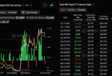 Photo of Инвесторы в ETF на XRP сейчас понесли убытки в размере 133 млн долларов по своим сделкам