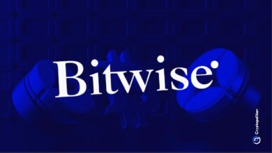 Photo of Мэтт Хауган из Bitwise ожидает 40-кратного роста NEAR к 2030 году в базовом бычьем сценарии