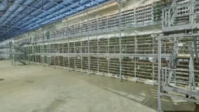 Photo of В России сократилось количество майнеров