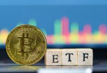 Photo of Торги биткоин-ETF выросли на $441 млн за 4 дня, Zcash растет 8-й день