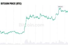 Photo of CIO Bitwise: биткойн может достичь 30 трлн долларов, как золото