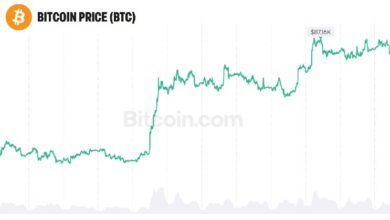 Photo of CIO Bitwise: биткойн может достичь 30 трлн долларов, как золото