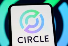 Photo of Circle получила выручку в размере 1,4 млрд долларов, но прибыль составила всего 7 %