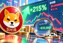 Photo of Приток капитала в Shiba Inu вырос на 215%, но что скрывается за этой цифрой