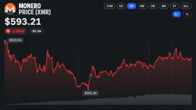 Photo of Хешрейт Monero близок к рекорду, цена XMR за год выросла на 70%