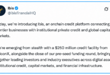 Photo of FalconX открыл кредитную линию на $250 млн для ончейн-кредитования Ibis