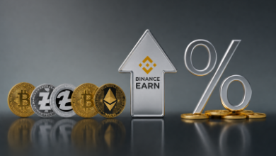 Photo of Кыргызстанцы смогут зарабатывать на стейблкоинах через Binance Earn до 35% годовых