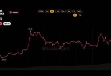 Photo of Покупатели ETF на XRP не сдаются, несмотря на убыток $230 млн