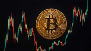 Photo of Генеральный директор Bitwise объявил о завершении медвежьего рынка криптовалют и ожидает, что биткоин достигнет рекордного максимума! Вот подробности