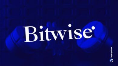Photo of CIO Bitwise: биткоин выигрывает во всех трех сценариях на фоне растущих макроэкономических рисков