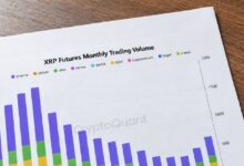 Photo of Объем фьючерсов на XRP на трёх биржах превысил 56 млрд долларов на фоне восстановления торгов