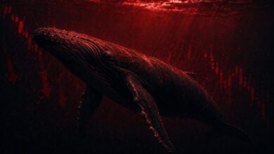 Photo of Сообщения удалены, этот Memecoin обвалился более чем на 95%: это снова Rugpull?