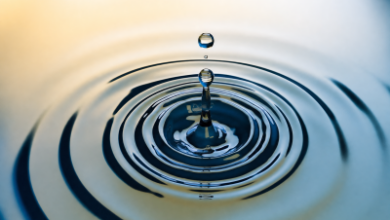 Photo of Ripple поддержала инициативу SEC по новым правилам для криптовалют
