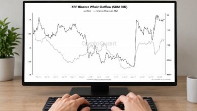 Photo of Объем переводов крупных держателей XRP с Binance достиг максимального уровня за последние 7 месяцев