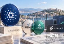 Photo of Хранилище Strike с RealFi на Cardano показывает около 50% APR, но есть риски