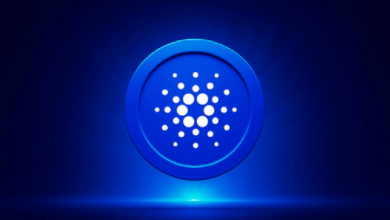 Photo of Основатель Cardano Чарльз Хоскинсон создает новый язык программирования для сети