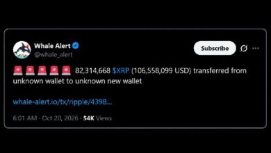 Photo of «Кит» XRP, накопивший токены по цене выше 2 долларов, только что переместил 82 миллиона токенов