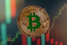 Photo of Bitcoin находится на 49% выше своего июльского минимума после прохождения даты дна, указанной паттерном с 4chan